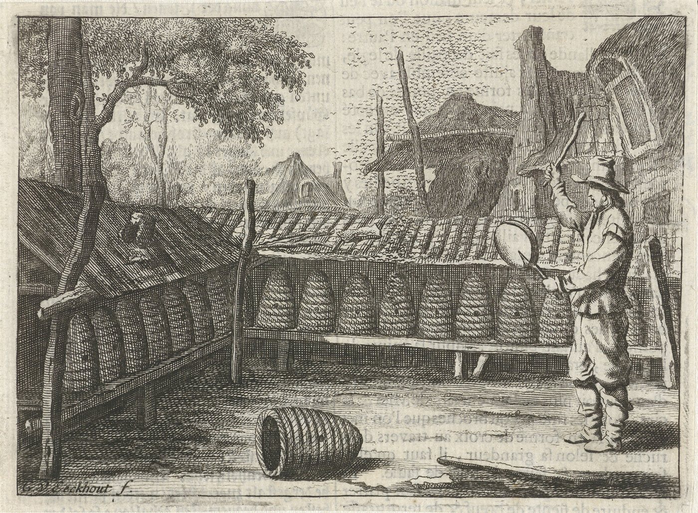 A seventeenth-century etching of a beekeeper standing among straw skeps, beating a pan to settle a swarm.