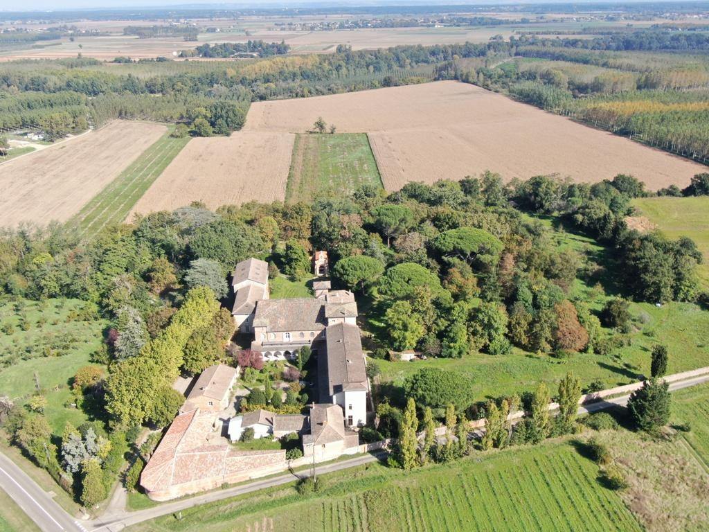 The open fields of the farm from the air, bordered by hedges and lines of trees.